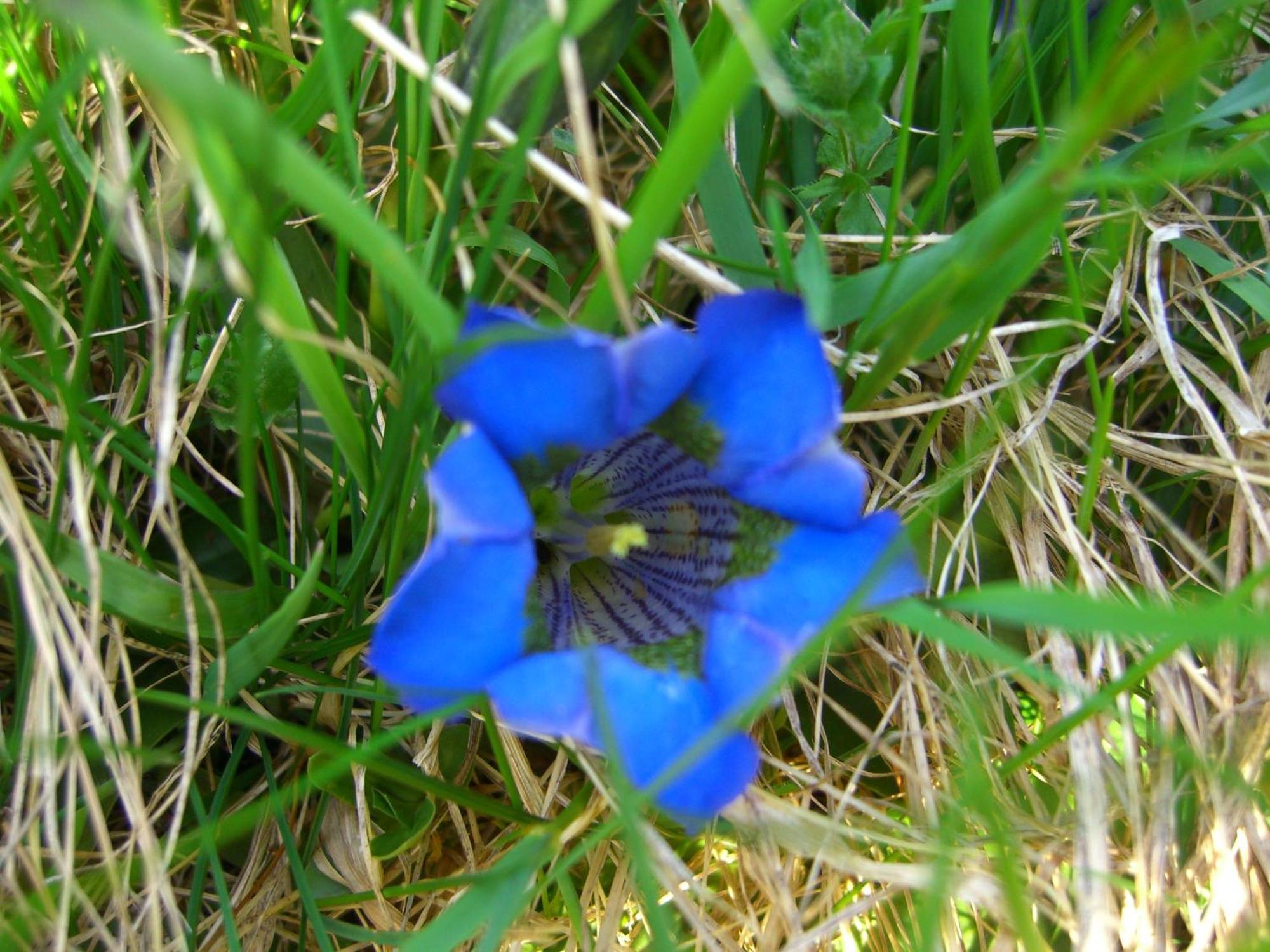 Apart Lurega - Inklusive Sommer Card Galtür Exteriör bild